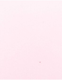 Filzplatte rosa 20 x 30cm / 1mm dick