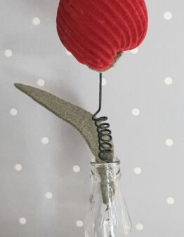 Tulpe rot uni