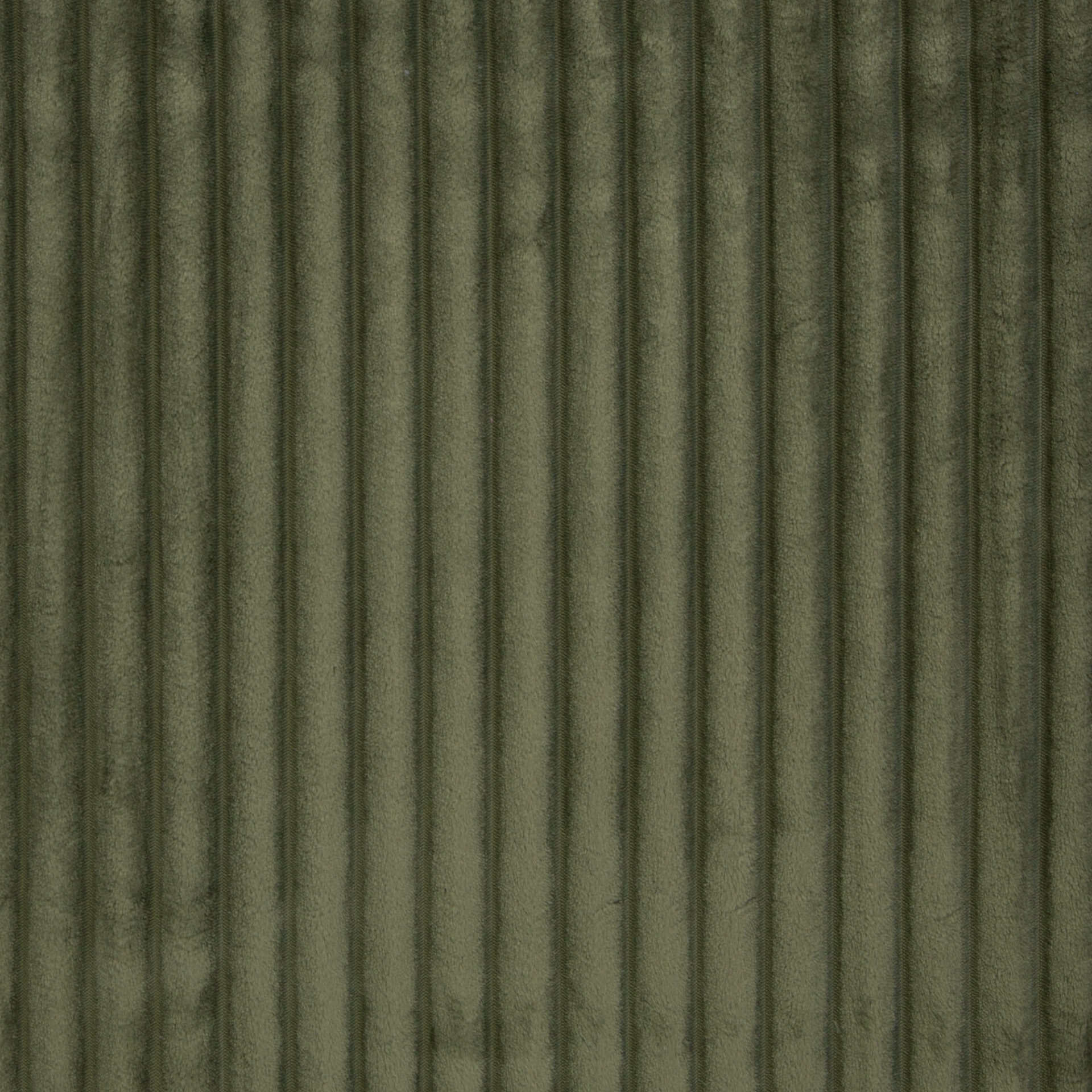 Plüsch Breitcord Plön khaki Farbe 000764 von Swafing